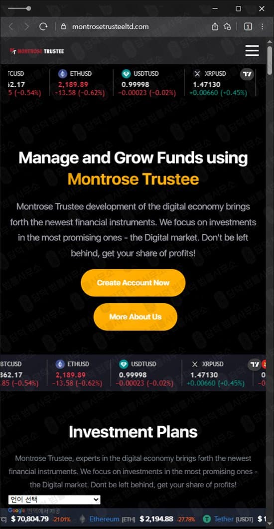 이 사진은 담덕법률사무소에서 캡쳐해둔 몬트로즈(Montrose Trustee) 웹사이트 캡쳐 사진이며 URL은 montrosetrusteeltd.com 입니다.